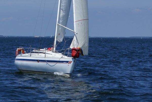 La solitaire – photo 132