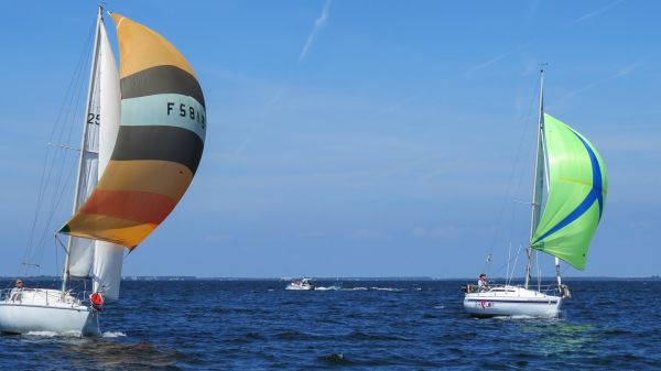 La solitaire – photo 70