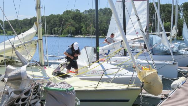 La solitaire – photo 8