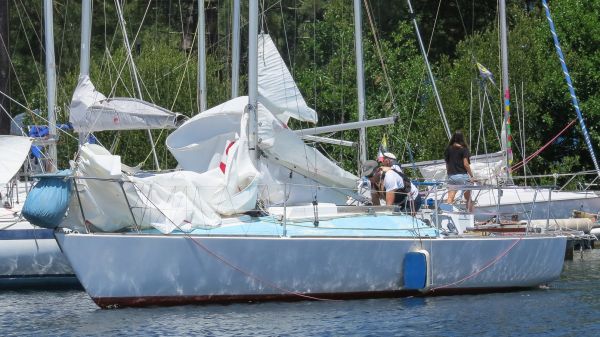 La solitaire – photo 32