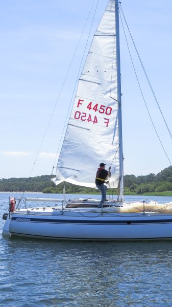 La solitaire – photo 30