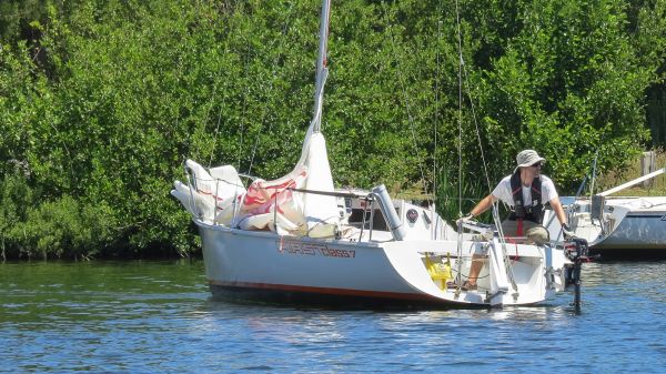 La solitaire – photo 27