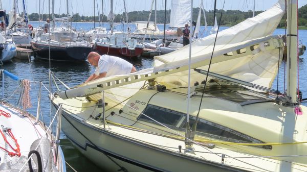 La solitaire – photo 9