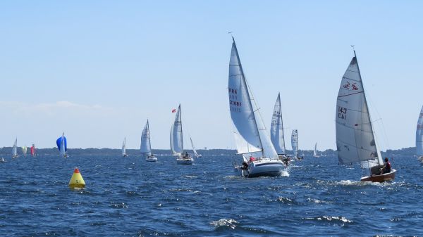 La solitaire – photo 54