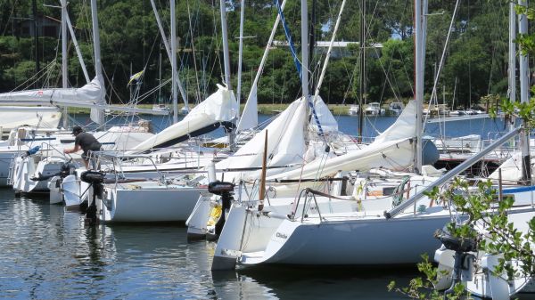 La solitaire – photo 2