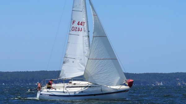 La solitaire – photo 58