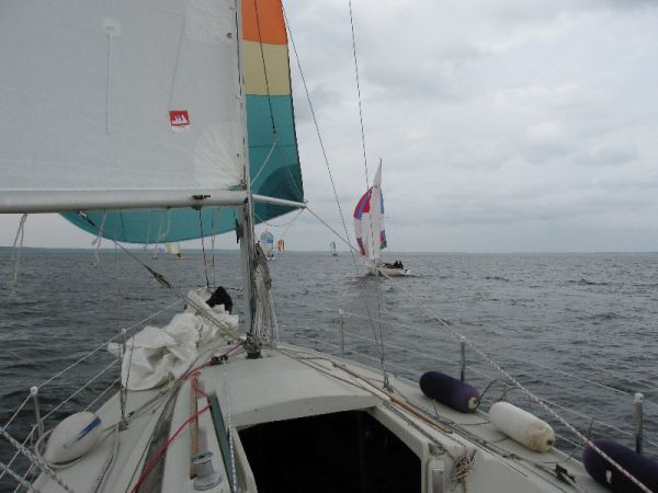 Régate d'été – photo 96