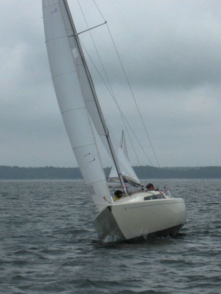 Régate d'été – photo 76