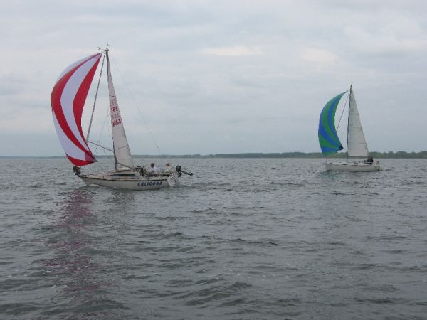 Régate d'été – photo 93