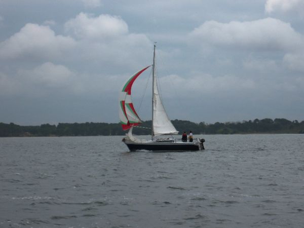 Régate d'été – photo 64