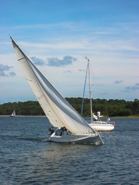Saison 2005 – photo 14