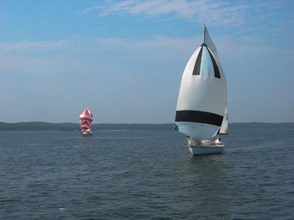 Saison 2005 – photo 37