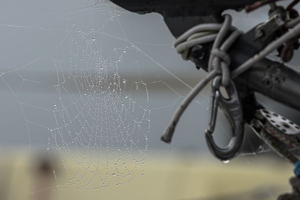 La conche à l'heure d'halloween – photo 31
