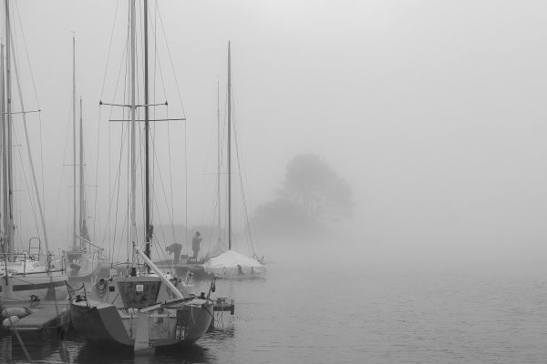 La conche à l'heure d'halloween – photo 2