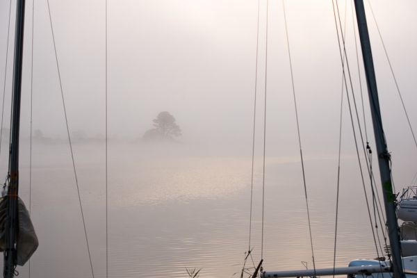 La conche à l'heure d'halloween – photo 6