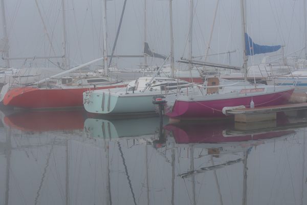 La conche à l'heure d'halloween – photo 21