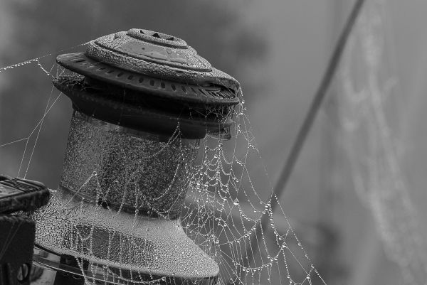 La conche à l'heure d'halloween – photo 13