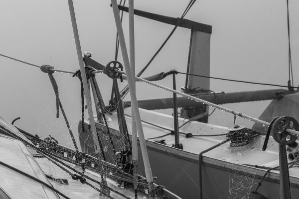 La conche à l'heure d'halloween – photo 12
