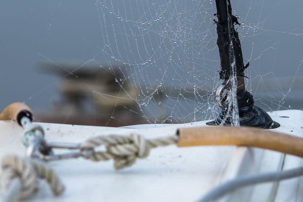 La conche à l'heure d'halloween – photo 19