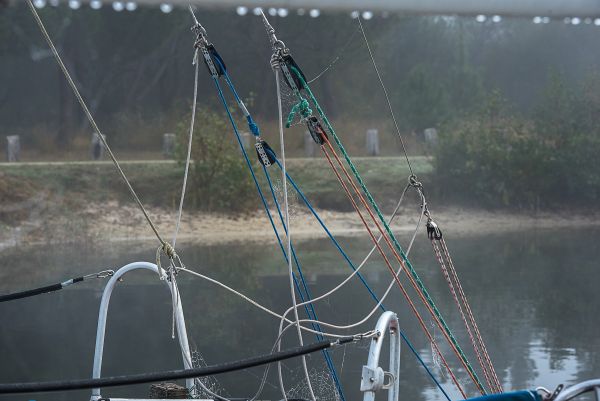 La conche à l'heure d'halloween – photo 20