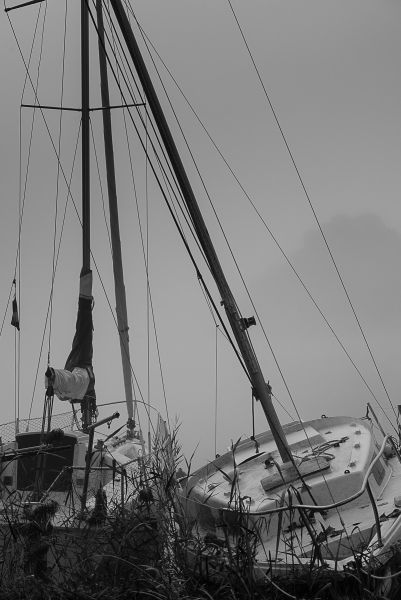 La conche à l'heure d'halloween – photo 8