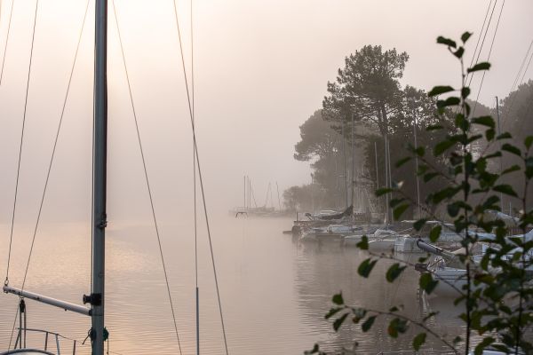 La conche à l'heure d'halloween – photo 5