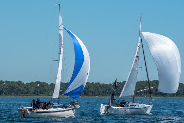 Coupe leclerc – photo 67