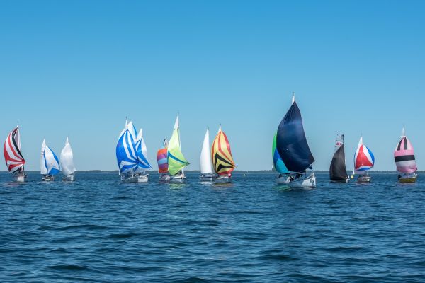 Coupe leclerc – photo 55