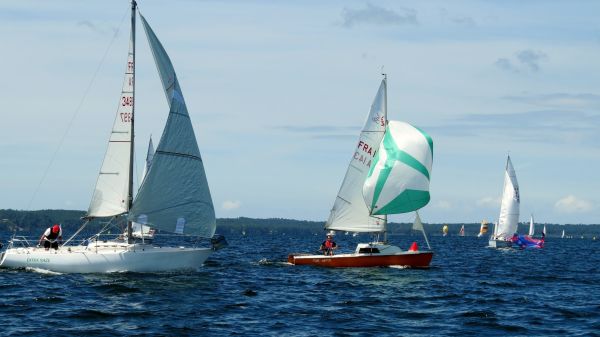 La solitaire - meltis – photo 152