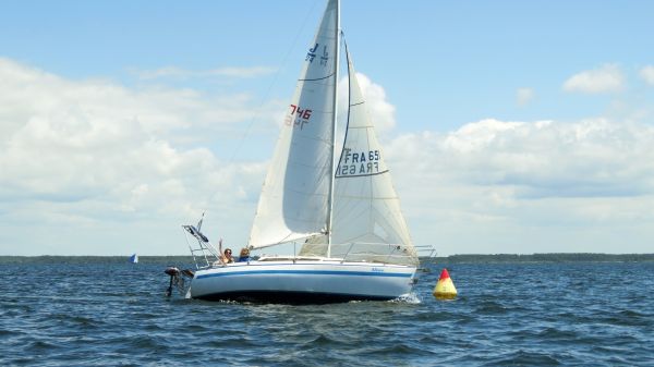 La solitaire - meltis – photo 145