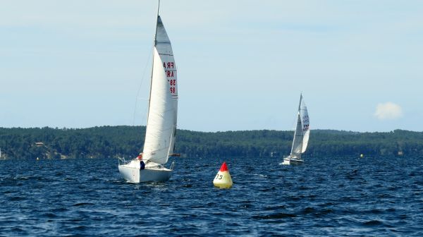 La solitaire - meltis – photo 155