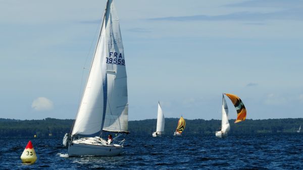 La solitaire - meltis – photo 157