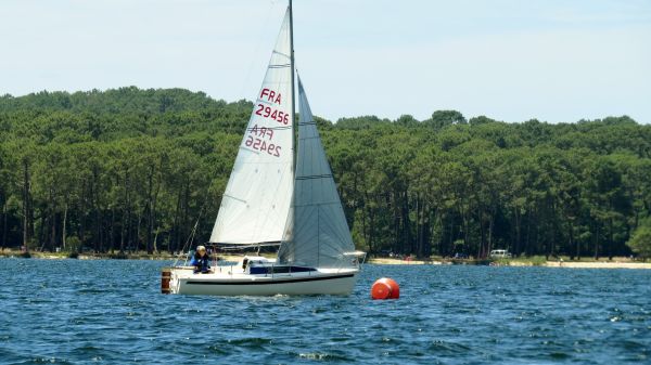 La solitaire - meltis – photo 93