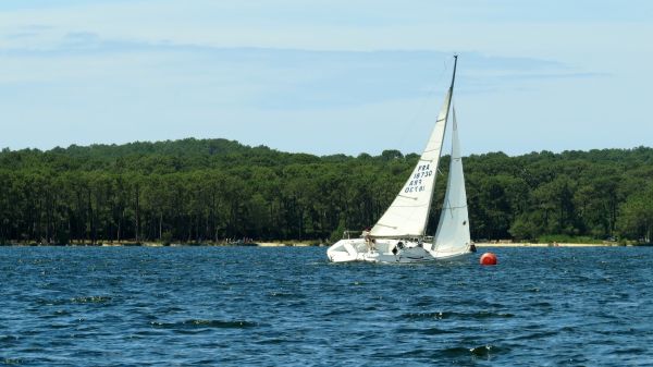 La solitaire - meltis – photo 94