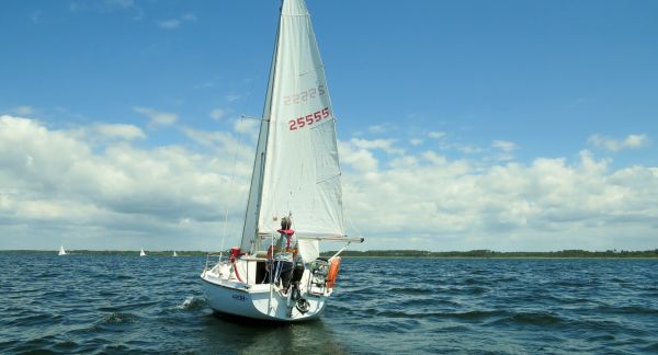 La solitaire - meltis – photo 159