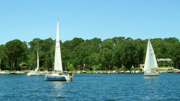 La solitaire - meltis – photo 53