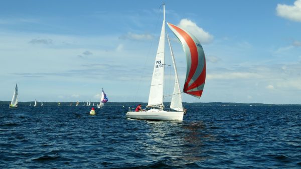 La solitaire - meltis – photo 151