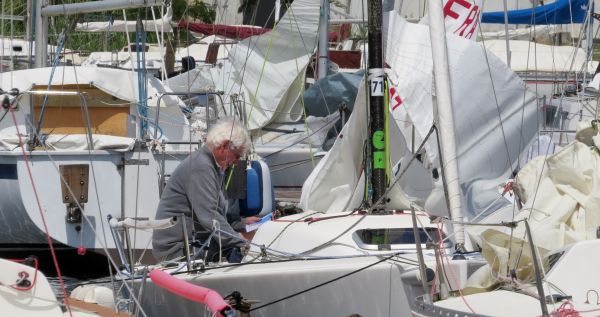 La solitaire - meltis – photo 11