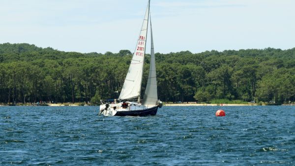 La solitaire - meltis – photo 96