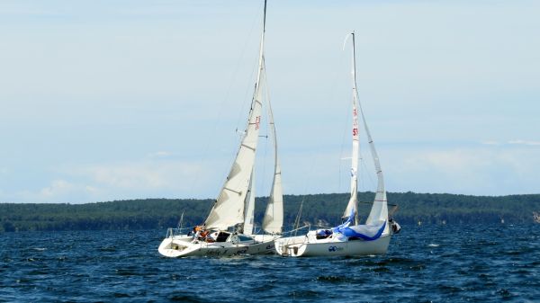 La solitaire - meltis – photo 114