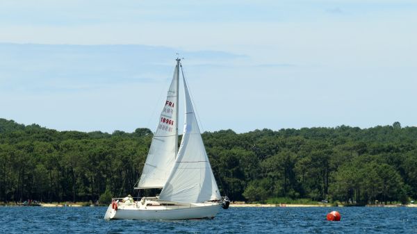La solitaire - meltis – photo 99