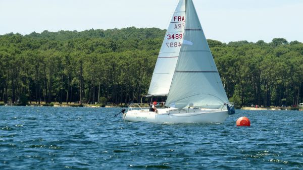 La solitaire - meltis – photo 92