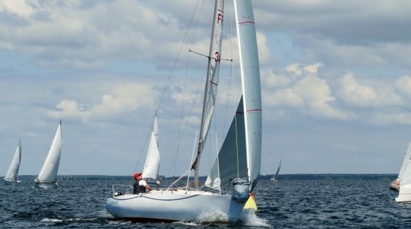 La solitaire - meltis – photo 133