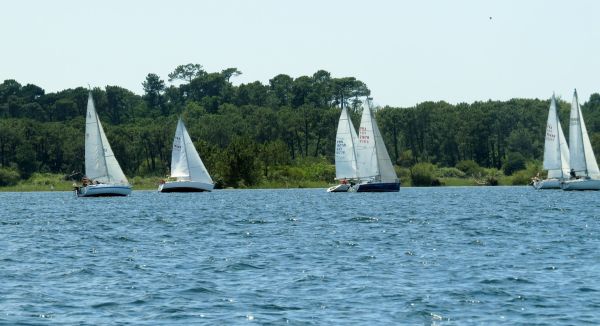 La solitaire - meltis – photo 87