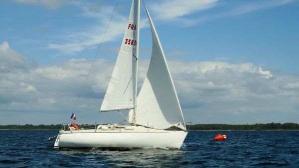 La solitaire - meltis – photo 187