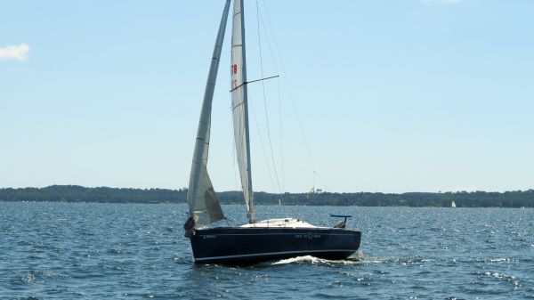 La solitaire - meltis – photo 162