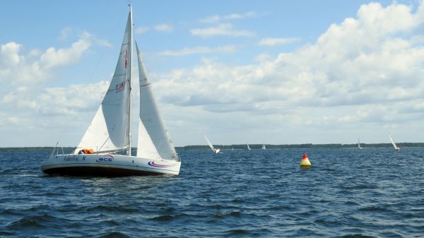 La solitaire - meltis – photo 131