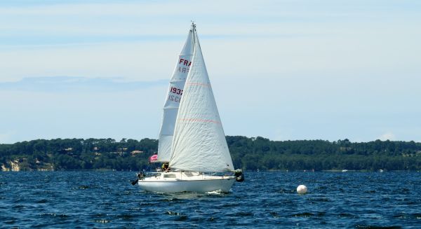 La solitaire - meltis – photo 118