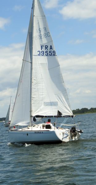 La solitaire - meltis – photo 79