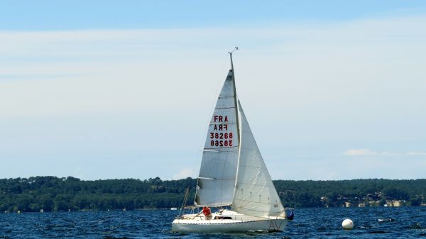 La solitaire - meltis – photo 123